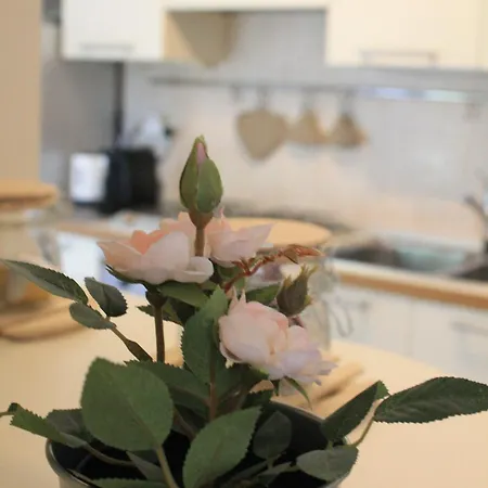 Terrace44 Oasi Di Pace E Relax Nel Cuore Di Daire