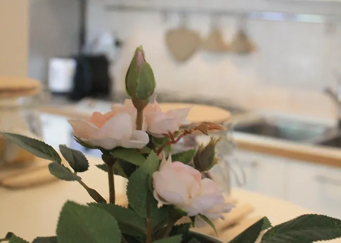 Terrace44 Oasi Di Pace E Relax Nel Cuore Di Appartement